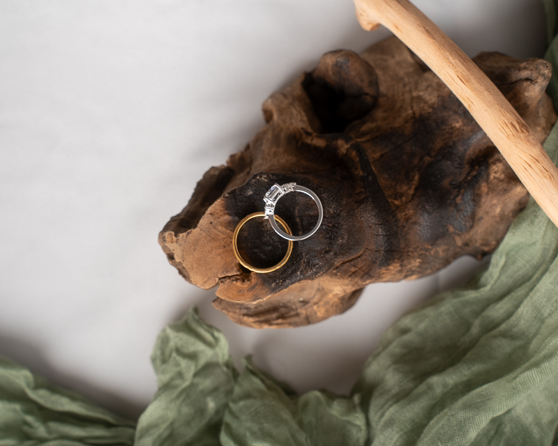 Alliances posées sur fond clair