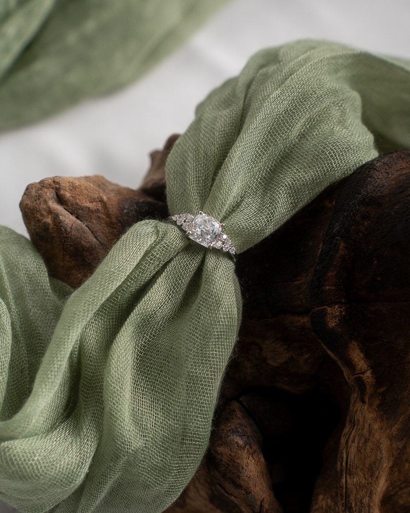 Alliances posées sur fond clair