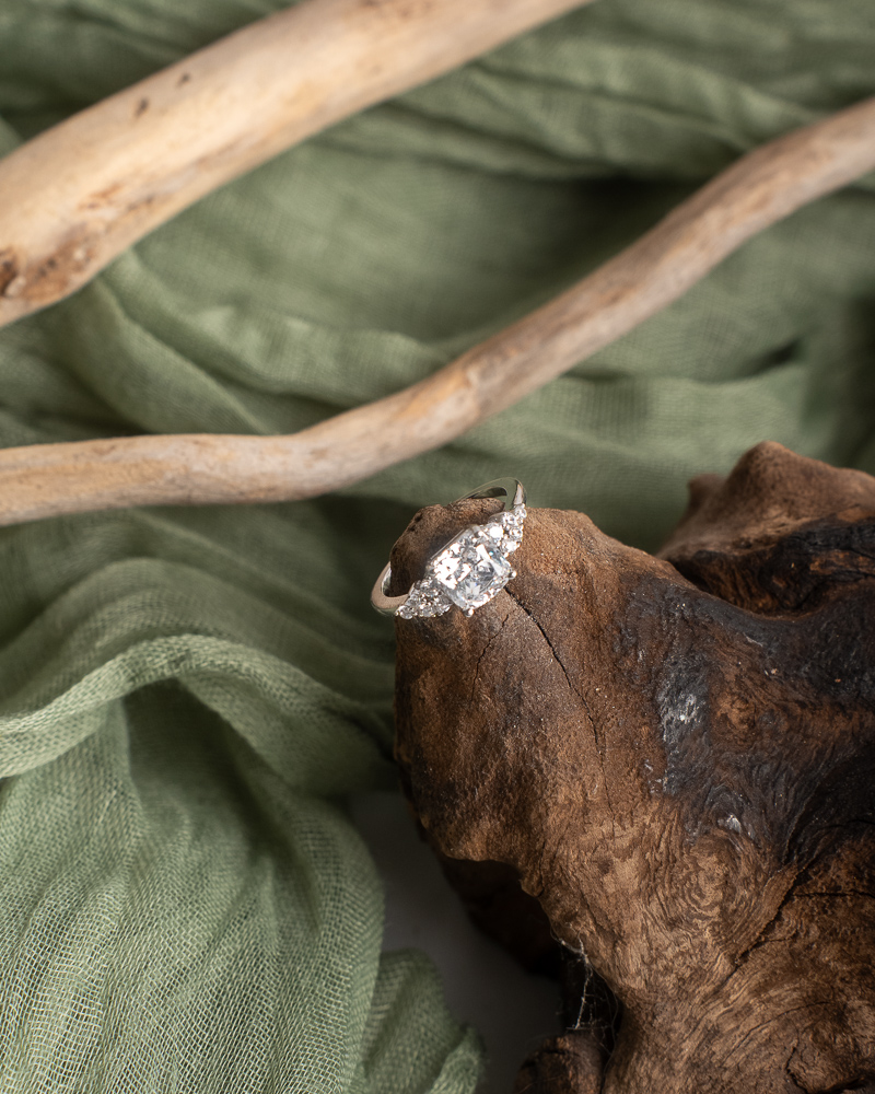 Alliances posées sur fond clair