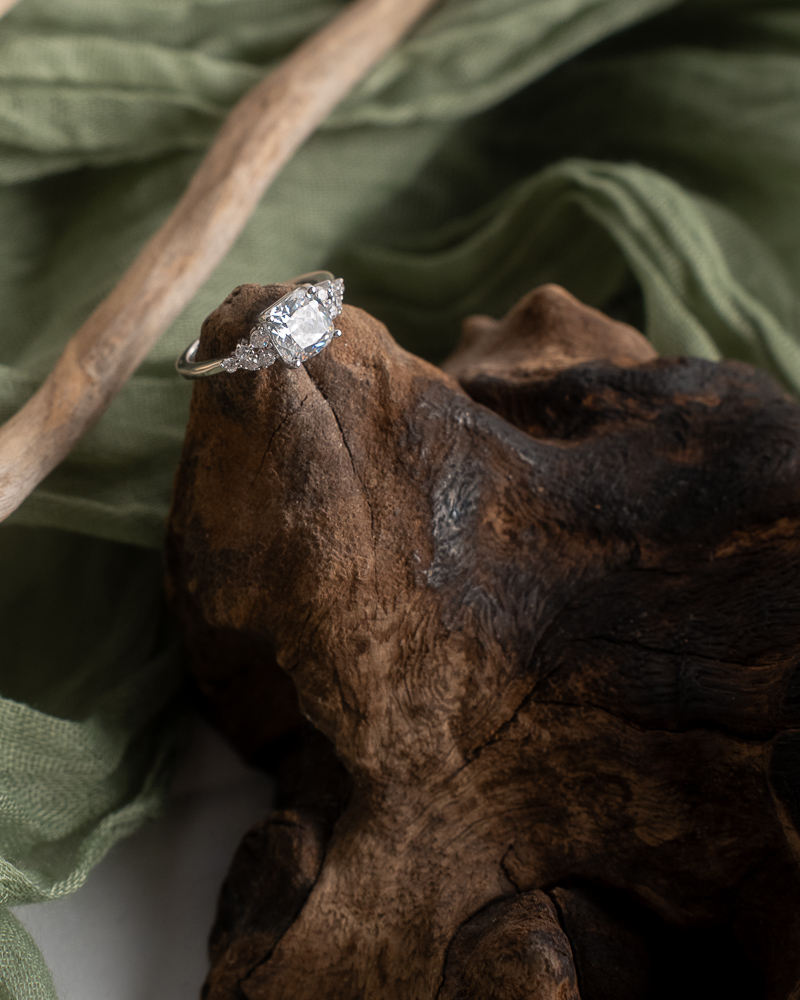 Alliances posées sur fond clair