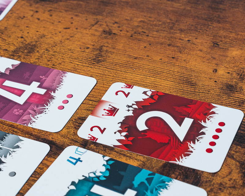 Plateau du jeu Duke photo 10